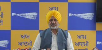 People of Punjab Have Waited Too Long for Justice in Beadbi & Firing Cases: Baltej Pannu