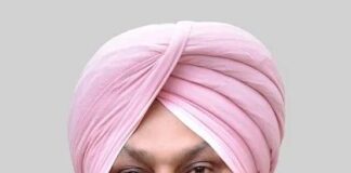 Akali Dal Cannot Escape Its Role In Beadbi Conspiracies & Bloodshed That Followed: Harpal Singh Cheema
