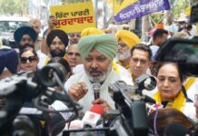 Akali Dal Has Launched Conspiracy To Tarnish Clean Image Of CM Bhagwant Singh Mann Through Fabricated Content: Harpal Singh Cheema
