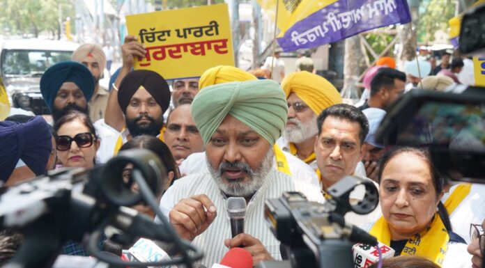 Akali Dal Has Launched Conspiracy To Tarnish Clean Image Of CM Bhagwant Singh Mann Through Fabricated Content: Harpal Singh Cheema