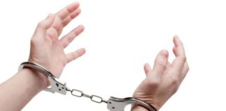 Anti-Terror Operation: Woman Arrested In Rajasthan For Alleged Jaish-e-Mohammad Links Anti-Terror Operation: Woman Arrested In Rajasthan For Alleged Jaish-e-Mohammad Links