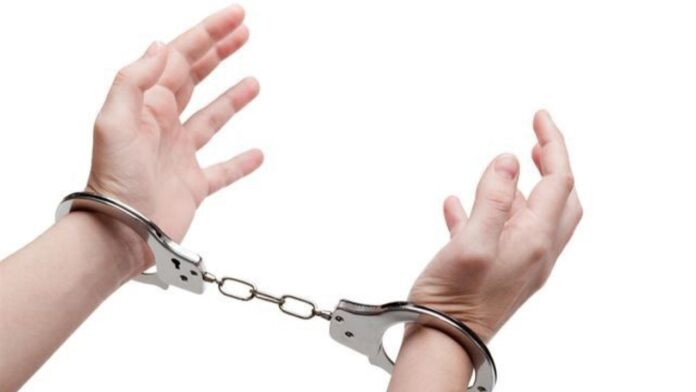 Anti-Terror Operation: Woman Arrested In Rajasthan For Alleged Jaish-e-Mohammad Links