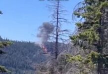 US Navy As F/A-18 Hornet Fighter Jet Crashes In Washington Raises Safety Concerns US Navy As F/A-18 Hornet Fighter Jet Crashes In Washington Raises Safety Concerns