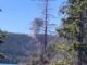US Navy As F/A-18 Hornet Fighter Jet Crashes In Washington Raises Safety Concerns US Navy As F/A-18 Hornet Fighter Jet Crashes In Washington Raises Safety Concerns