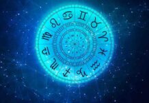 Daily Horoscope for Tuesday, June 23: Check Career, Love & Money Forecast for Your Zodiac Daily Horoscope for Tuesday, June 23: Check Career, Love & Money Forecast for Your Zodiac