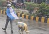 Bangladesh Man Walks Sheep Dyed in Argentina Colours, Viral Video Sparks FIFA World Cup Buzz Bangladesh Man Walks Sheep Dyed in Argentina Colours, Viral Video Sparks FIFA World Cup Buzz