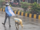 Bangladesh Man Walks Sheep Dyed in Argentina Colours, Viral Video Sparks FIFA World Cup Buzz Bangladesh Man Walks Sheep Dyed in Argentina Colours, Viral Video Sparks FIFA World Cup Buzz