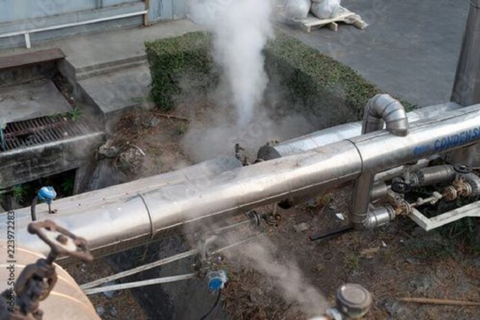 Bihar On Alert After Ammonia Gas Leak At Saran Cold Storage