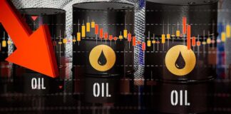 Biggest Weekly Crude Drop in Months: Eyes on Petrol, Diesel Prices in India Biggest Weekly Crude Drop in Months: Eyes on Petrol, Diesel Prices in India