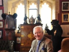 79-Year-Old Millionaire Wants Young Bride, Promises Palace and Fortune 79-Year-Old Millionaire Wants Young Bride, Promises Palace and Fortune