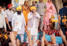 Past Beadbi Cases Will Be Thoroughly Investigated: Punjab CM Bhagwant Mann Past Beadbi Cases Will Be Thoroughly Investigated: Punjab CM Bhagwant Mann