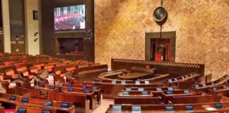 NDA Flexes StrengthNDA Flexes Strength: Sweeps Rajya Sabha Polls With 19 Unopposed WinsNDA Flexes Strength NDA Flexes StrengthNDA Flexes Strength: Sweeps Rajya Sabha Polls With 19 Unopposed WinsNDA Flexes Strength