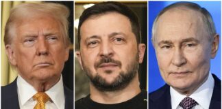 Trump Optimistic on Ukraine Conflict After Separate Talks With Putin and Zelenskyy Trump Optimistic on Ukraine Conflict After Separate Talks With Putin and Zelenskyy