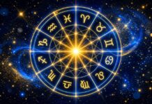 Horoscope Prediction, July 5, 2026: Know About The Future According To The Mulank 1 to 9 Horoscope Prediction, July 5, 2026: Know About The Future According To The Mulank 1 to 9