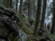 Two Lashkar Terrorists Cornered In Shopian Orchard; Security Forces Seal Escape Routes Two Lashkar Terrorists Cornered In Shopian Orchard; Security Forces Seal Escape Routes