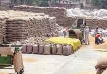 Pakistan’s Flour Mills on the Verge of Shutdown Amid Wheat Shortage Pakistan's Flour Mills on the Verge of Shutdown Amid Wheat Shortage