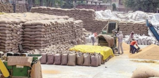 Pakistan’s Flour Mills on the Verge of Shutdown Amid Wheat Shortage Pakistan's Flour Mills on the Verge of Shutdown Amid Wheat Shortage