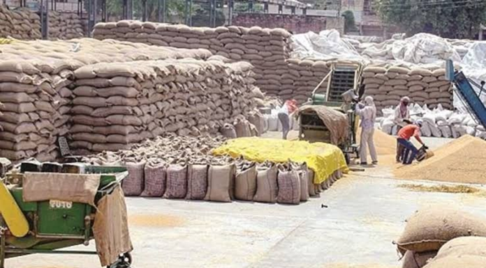 Pakistan’s Flour Mills on the Verge of Shutdown Amid Wheat Shortage Pakistan's Flour Mills on the Verge of Shutdown Amid Wheat Shortage