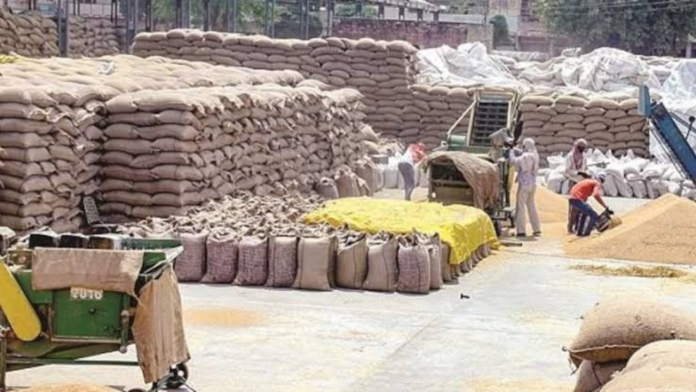 Untitled design - 2026-07-16T130552.826 Pakistan's Flour Mills on the Verge of Shutdown Amid Wheat Shortage