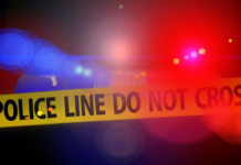 Delhi Horror: Man Allegedly Kills Sister Over Love Marriage After Travelling From Meerut Delhi Horror: Man Allegedly Kills Sister Over Love Marriage After Travelling From Meerut