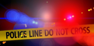 Delhi Horror: Man Allegedly Kills Sister Over Love Marriage After Travelling From Meerut Delhi Horror: Man Allegedly Kills Sister Over Love Marriage After Travelling From Meerut