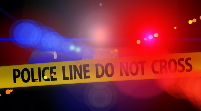 Delhi Horror: Man Allegedly Kills Sister Over Love Marriage After Travelling From Meerut Delhi Horror: Man Allegedly Kills Sister Over Love Marriage After Travelling From Meerut
