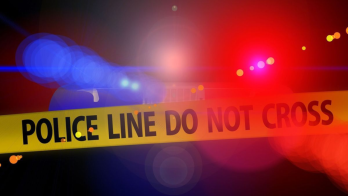 Untitled design - 2026-07-19T112512.063 Delhi Horror: Man Allegedly Kills Sister Over Love Marriage After Travelling From Meerut
