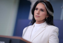 Tulsi Gabbard’s Brother Faces Custody After Alleged Hotel Room Incident With Children Tulsi Gabbard's Brother Faces Custody After Alleged Hotel Room Incident With Children