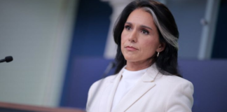 Tulsi Gabbard’s Brother Faces Custody After Alleged Hotel Room Incident With Children Tulsi Gabbard's Brother Faces Custody After Alleged Hotel Room Incident With Children