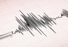 Japan Rocked By 7.1-Magnitude Earthquake; Tsunami Warning In Effect Japan Rocked By 7.1-Magnitude Earthquake; Tsunami Warning In Effect