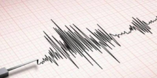 Japan Rocked By 7.1-Magnitude Earthquake; Tsunami Warning In Effect Japan Rocked By 7.1-Magnitude Earthquake; Tsunami Warning In Effect