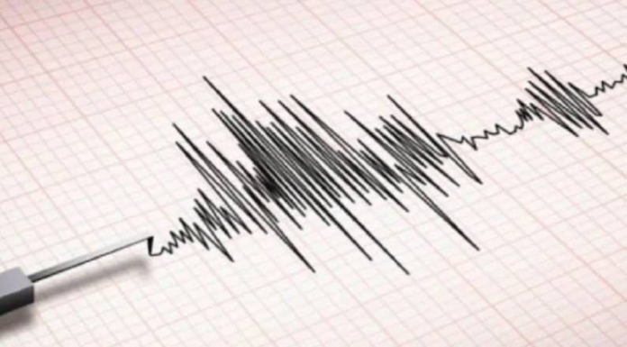 Strong 5.9 Earthquake Rattles Tokyo, Eastern Japan; 5 Injured