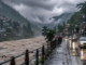 From Himachal To Kashmir: Heavy Rain Wreaks Havoc, Claims Lives Across North India From Himachal To Kashmir: Heavy Rain Wreaks Havoc, Claims Lives Across North India