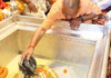 Sawan 2026: UP CM Yogi Visits Kashi Vishwanath, Kaal Bhairav Temples In Varanasi Sawan 2026: UP CM Yogi Visits Kashi Vishwanath, Kaal Bhairav Temples In Varanasi