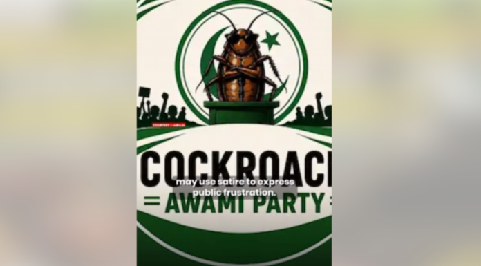 Pakistan’s ‘Cockroach Party’ Goes Viral, Challenges Corruption And Nepotism Pakistan's 'Cockroach Party' Goes Viral, Challenges Corruption And Nepotism