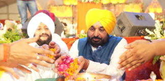 Punjab Govt Will Arrange Everything From Pick-Up at Home to Return Journey: CM Bhagwant Singh Mann Punjab Govt Will Arrange Everything From Pick-Up at Home to Return Journey: CM Bhagwant Singh Mann