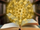 Today’s Horoscope, July 14, 2026: What The Stars Have In Store For Your Zodiac Sign Today's Horoscope, July 14, 2026: What The Stars Have In Store For Your Zodiac Sign