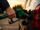 Fuel Prices Hold Steady Despite Sharp Decline In Crude Oil Rates Fuel Prices Hold Steady Despite Sharp Decline In Crude Oil Rates