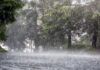 Weather Alert Today: Heavy Rain Likely Across 15 States, IMD Advises Caution Weather Alert Today: Heavy Rain Likely Across 15 States, IMD Advises Caution