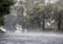 Weather Alert Today: Heavy Rain Likely Across 15 States, IMD Advises Caution Weather Alert Today: Heavy Rain Likely Across 15 States, IMD Advises Caution