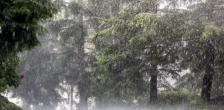 Weather Alert Today: Heavy Rain Likely Across 15 States, IMD Advises Caution Weather Alert Today: Heavy Rain Likely Across 15 States, IMD Advises Caution