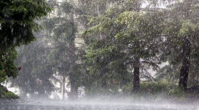 Weather Alert Today: Heavy Rain Likely Across 15 States, IMD Advises Caution Weather Alert Today: Heavy Rain Likely Across 15 States, IMD Advises Caution