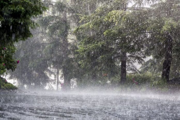 Weather Alert Today: Heavy Rain Likely Across 15 States, IMD Advises Caution