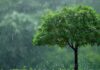 IMD Declares Monsoon Onset In Delhi After Days Of Rainfall Inactivity IMD Declares Monsoon Onset In Delhi After Days Of Rainfall Inactivity
