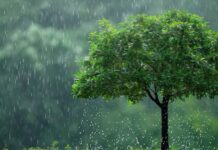 IMD Declares Monsoon Onset In Delhi After Days Of Rainfall Inactivity IMD Declares Monsoon Onset In Delhi After Days Of Rainfall Inactivity