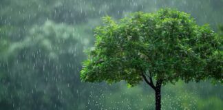 IMD Declares Monsoon Onset In Delhi After Days Of Rainfall Inactivity IMD Declares Monsoon Onset In Delhi After Days Of Rainfall Inactivity