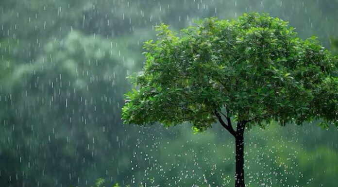 IMD Declares Monsoon Onset In Delhi After Days Of Rainfall Inactivity IMD Declares Monsoon Onset In Delhi After Days Of Rainfall Inactivity