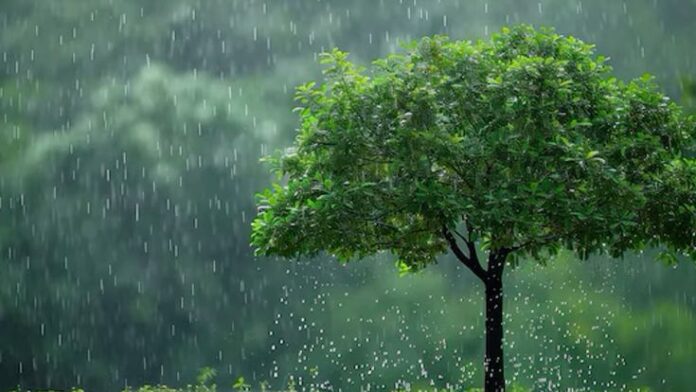 IMD Declares Monsoon Onset In Delhi After Days Of Rainfall Inactivity