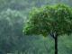 IMD Declares Monsoon Onset In Delhi After Days Of Rainfall Inactivity IMD Declares Monsoon Onset In Delhi After Days Of Rainfall Inactivity