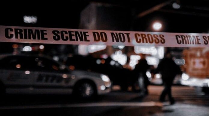 Chaos At Michigan Mall: Two Dead, One Injured In Shooting Incident Chaos At Michigan Mall: Two Dead, One Injured In Shooting Incident